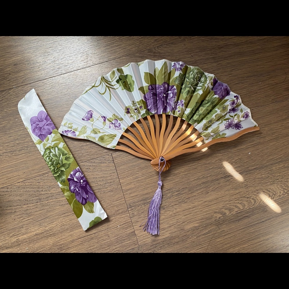 Beautiful Chinese & Japanese folding fan